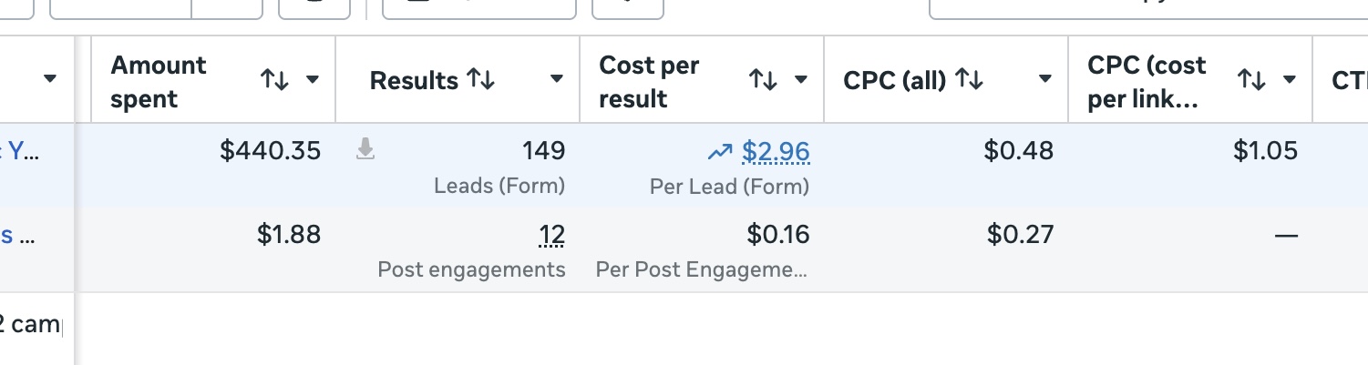 Campaign delivering 149 leads at $2.96 cost per lead